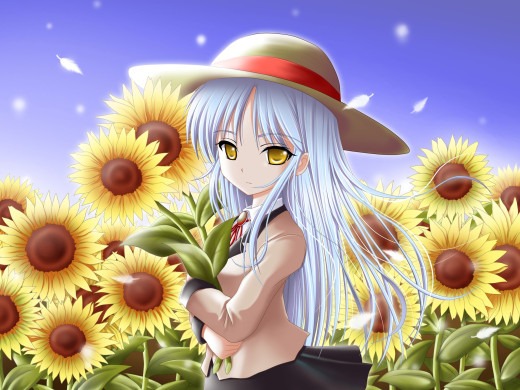 202838 (a): :2048x1536